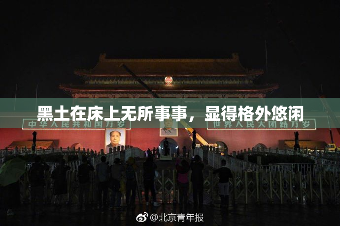黑土在床上无所事事，显得格外悠闲