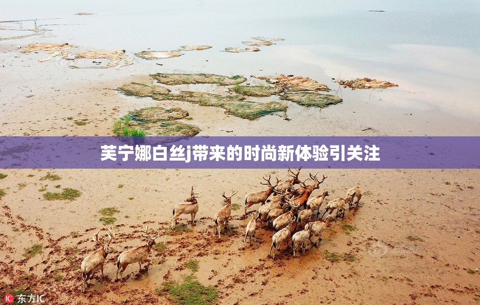 芙宁娜白丝j带来的时尚新体验引关注