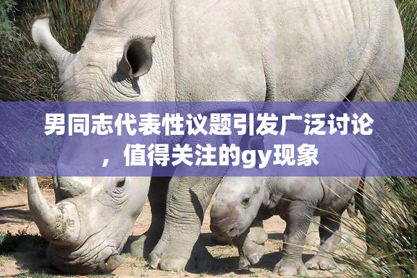 男同志代表性议题引发广泛讨论，值得关注的gy现象