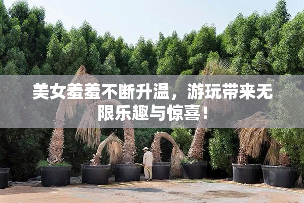 美女羞羞不断升温，游玩带来无限乐趣与惊喜！