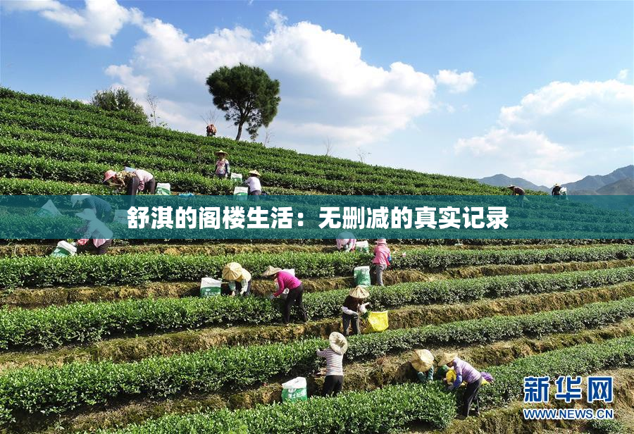 舒淇的阁楼生活：无删减的真实记录