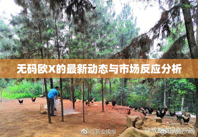 无码欧X的最新动态与市场反应分析
