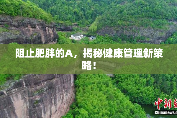 阻止肥胖的A，揭秘健康管理新策略！