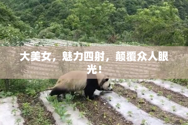 大美女，魅力四射，颠覆众人眼光！