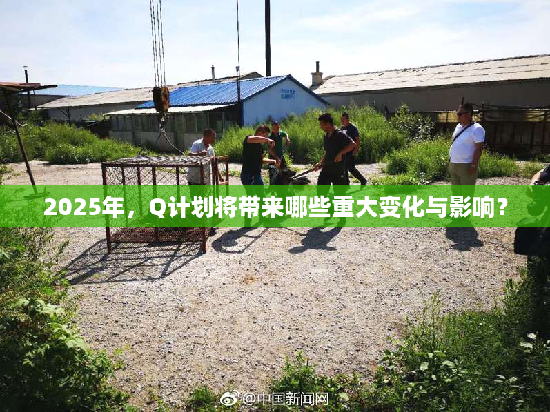 2025年，Q计划将带来哪些重大变化与影响？