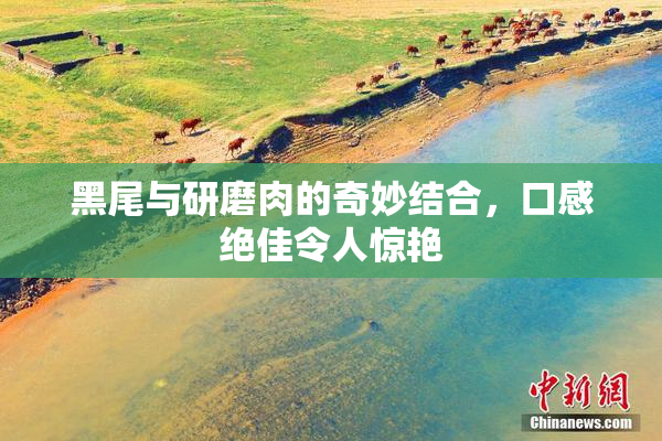 黑尾与研磨肉的奇妙结合，口感绝佳令人惊艳