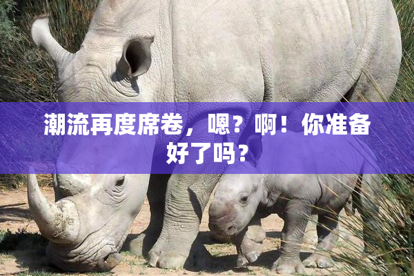 潮流再度席卷，嗯？啊！你准备好了吗？