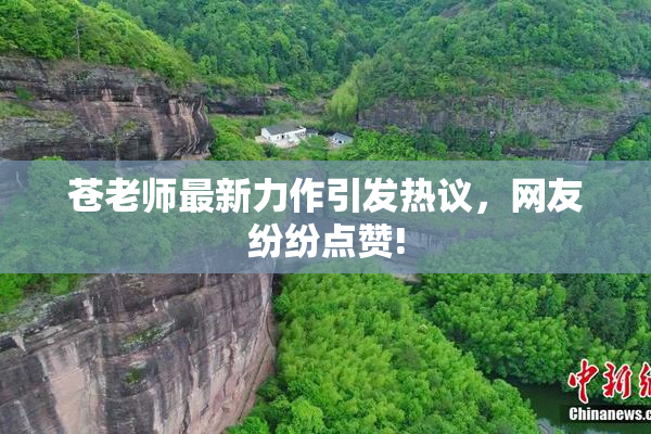 苍老师最新力作引发热议，网友纷纷点赞!