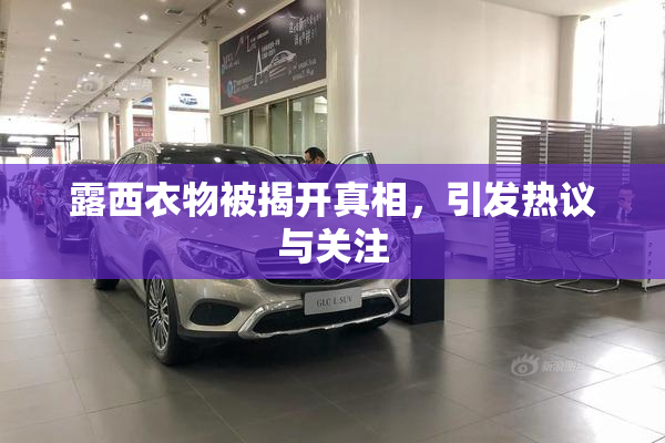 露西衣物被揭开真相，引发热议与关注