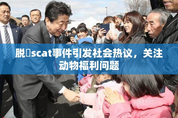 脱糞scat事件引发社会热议，关注动物福利问题