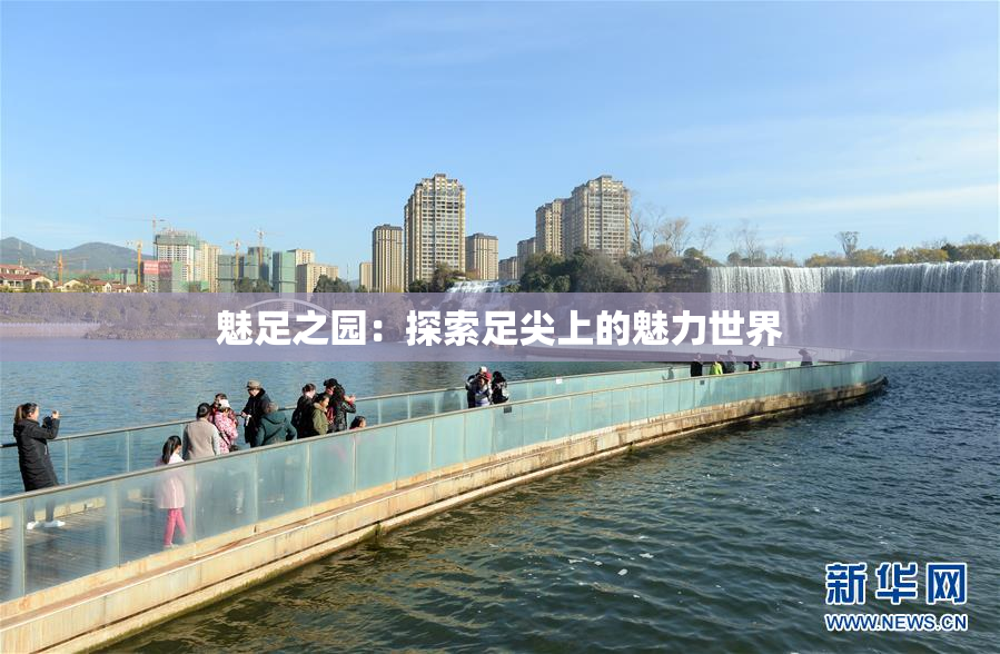 魅足之园：探索足尖上的魅力世界