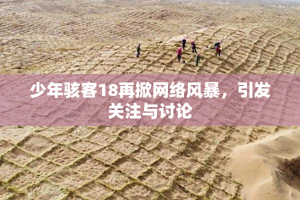少年骇客18再掀网络风暴，引发关注与讨论