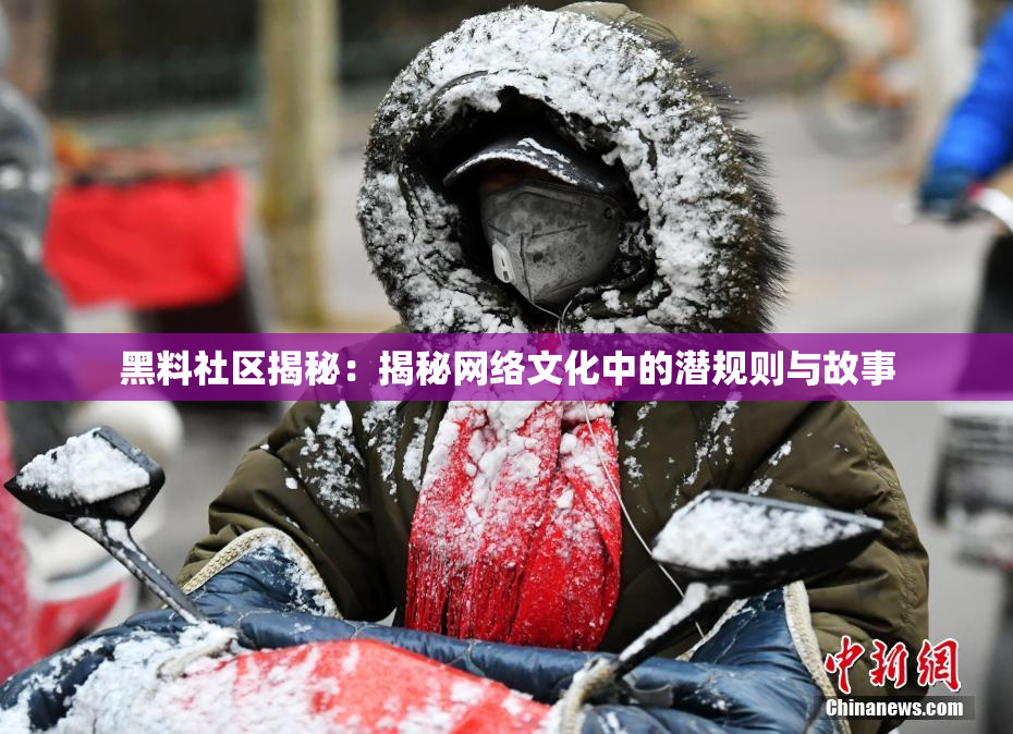 黑料社区揭秘：揭秘网络文化中的潜规则与故事