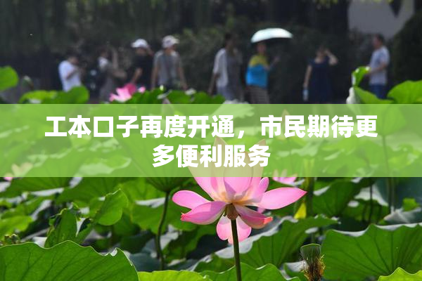 工本口子再度开通，市民期待更多便利服务