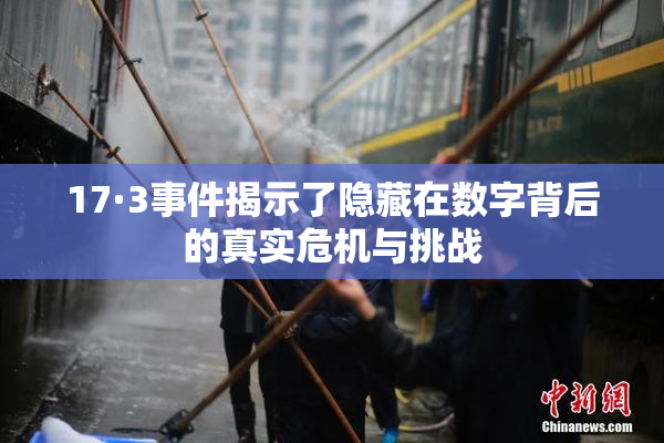 17·3事件揭示了隐藏在数字背后的真实危机与挑战