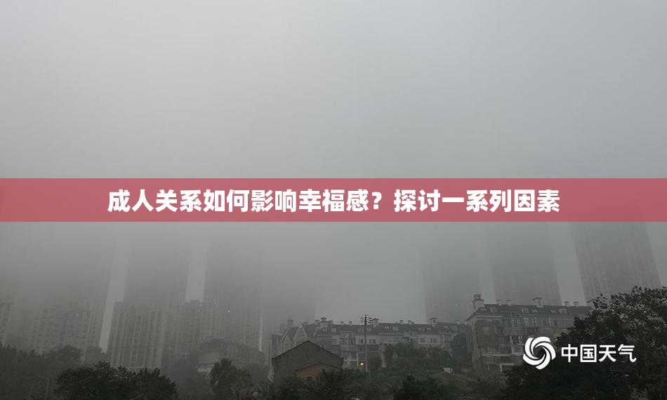 成人关系如何影响幸福感？探讨一系列因素