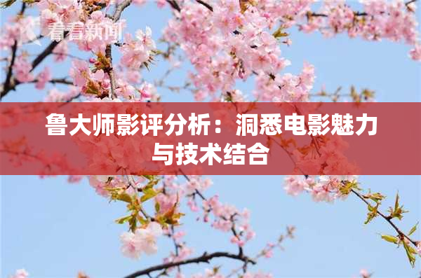 鲁大师影评分析：洞悉电影魅力与技术结合