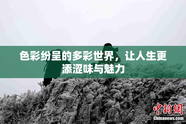 色彩纷呈的多彩世界，让人生更添涩味与魅力