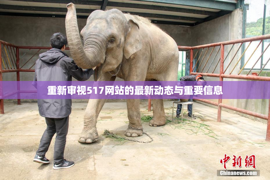 重新审视517网站的最新动态与重要信息