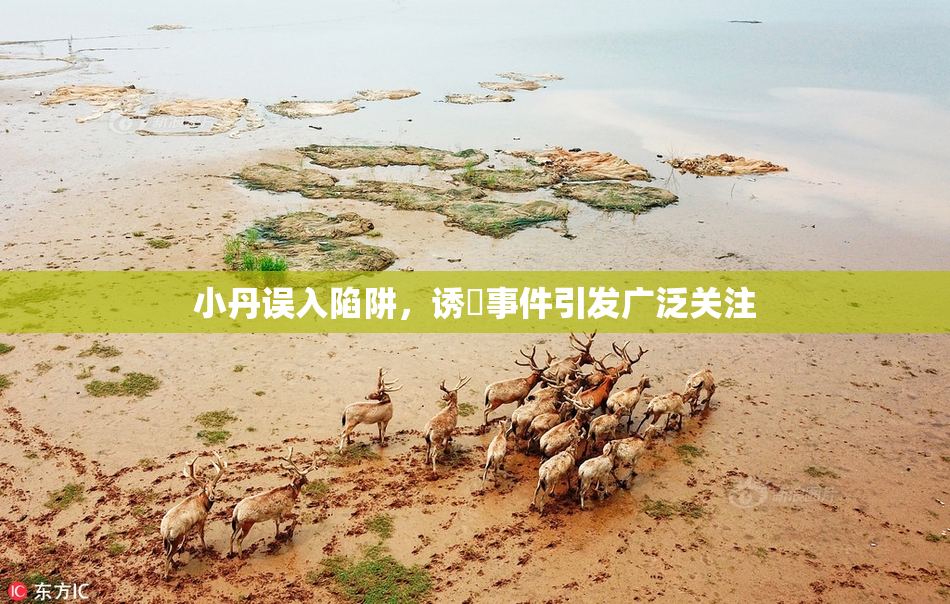 小丹误入陷阱，诱奷事件引发广泛关注