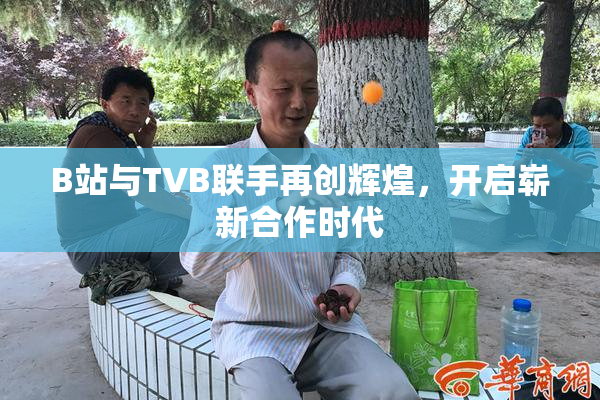 B站与TVB联手再创辉煌，开启崭新合作时代