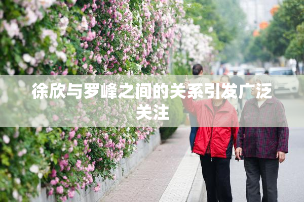 徐欣与罗峰之间的关系引发广泛关注