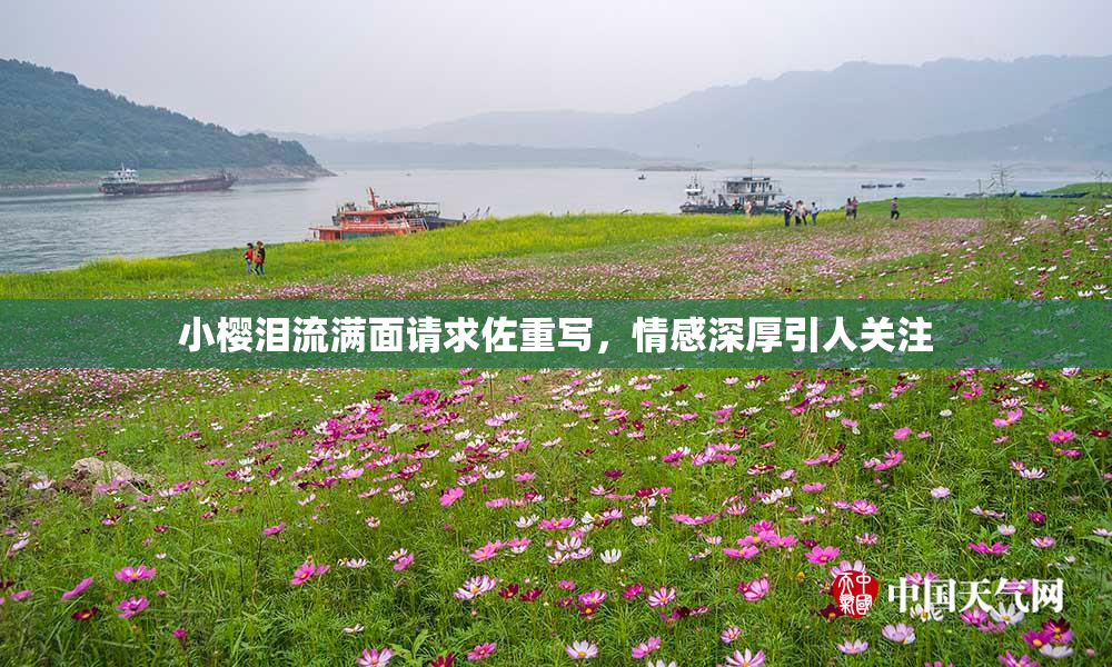 小樱泪流满面请求佐重写，情感深厚引人关注