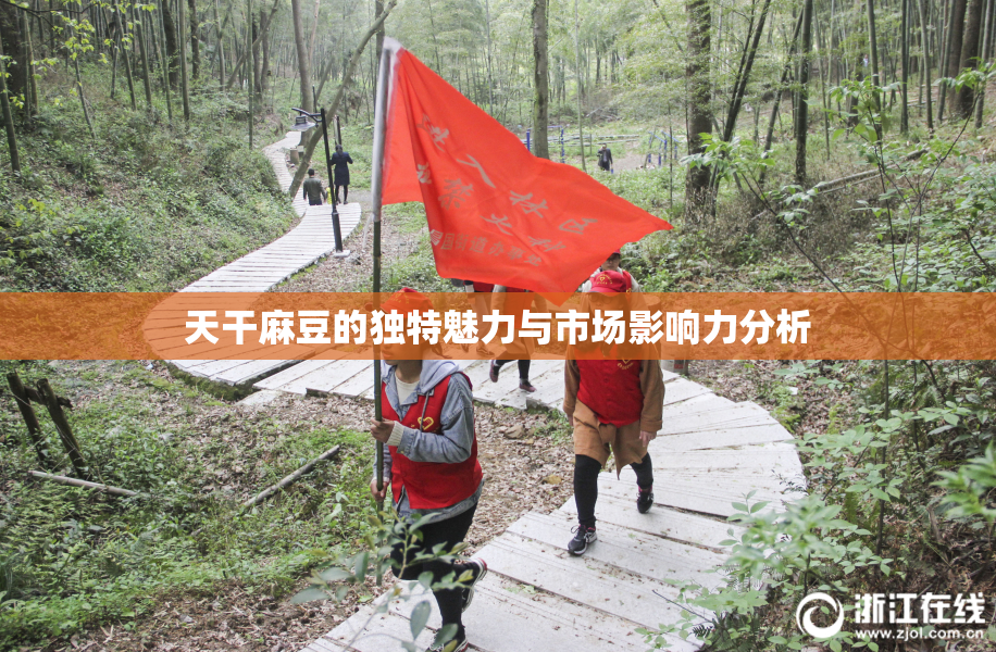 天干麻豆的独特魅力与市场影响力分析