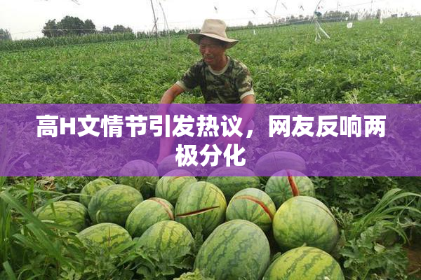 高H文情节引发热议，网友反响两极分化
