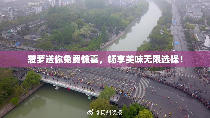 菠萝送你免费惊喜，畅享美味无限选择！