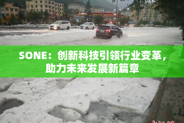 SONE：创新科技引领行业变革，助力未来发展新篇章
