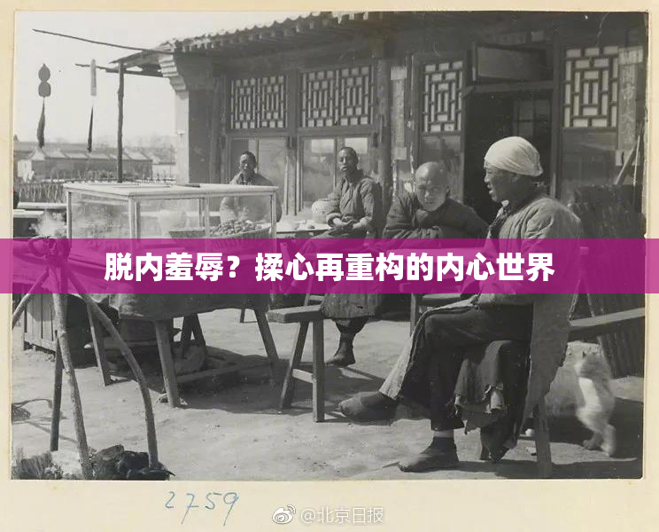 脱内羞辱？揉心再重构的内心世界