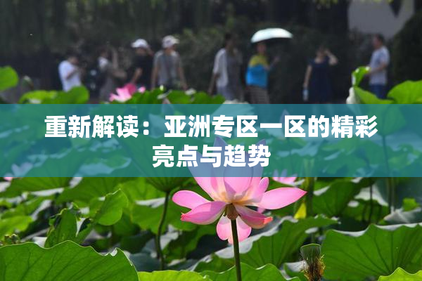 重新解读：亚洲专区一区的精彩亮点与趋势