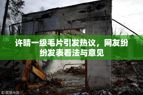 许晴一级毛片引发热议，网友纷纷发表看法与意见
