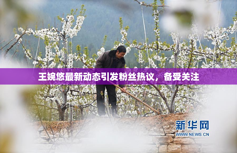 王婉悠最新动态引发粉丝热议，备受关注