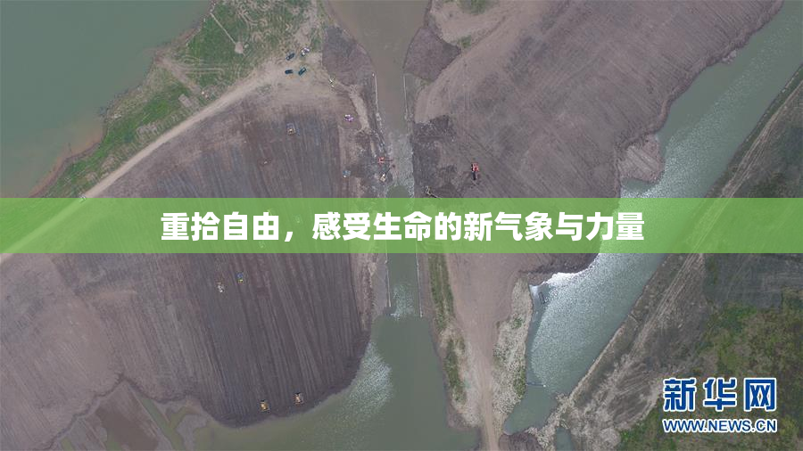 重拾自由，感受生命的新气象与力量