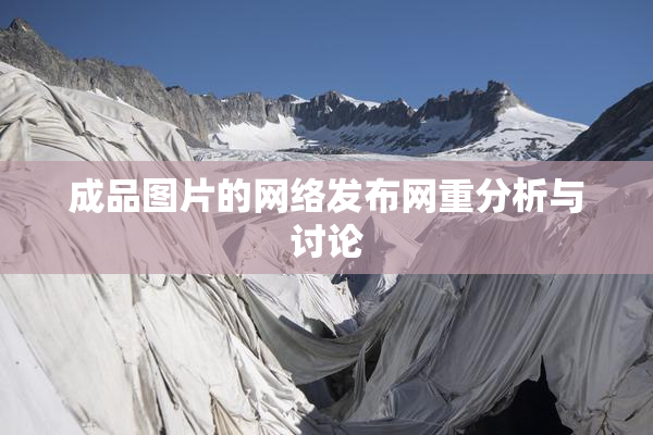 成品图片的网络发布网重分析与讨论