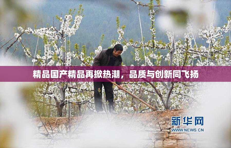 精品国产精品再掀热潮，品质与创新同飞扬