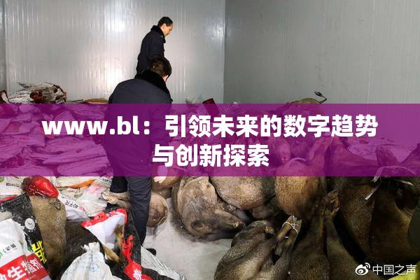 www.bl：引领未来的数字趋势与创新探索