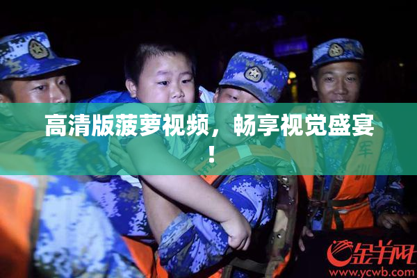 高清版菠萝视频，畅享视觉盛宴！