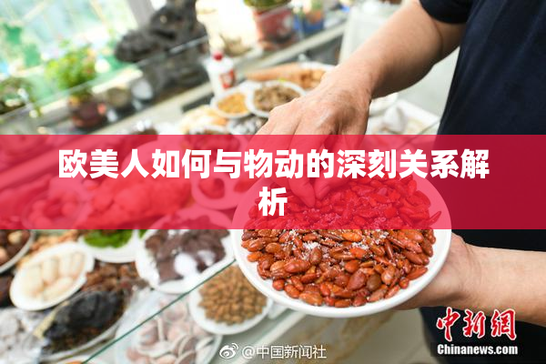 欧美人如何与物动的深刻关系解析