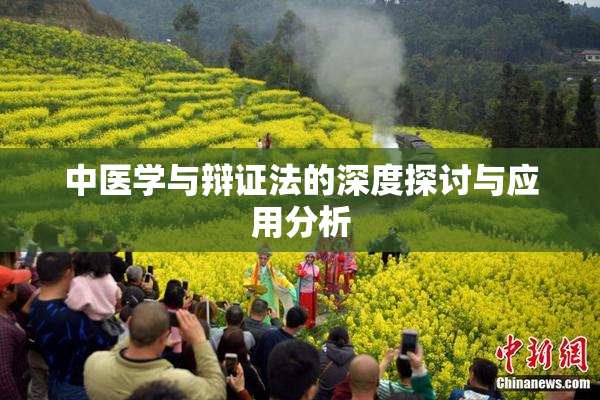 中医学与辩证法的深度探讨与应用分析