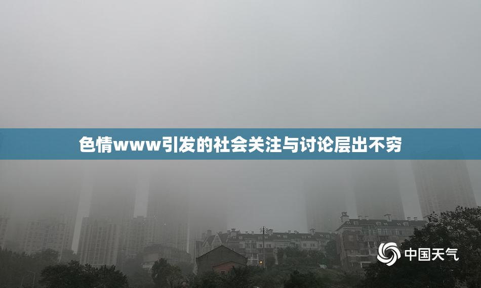 色情www引发的社会关注与讨论层出不穷