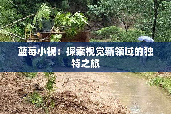 蓝莓小视：探索视觉新领域的独特之旅