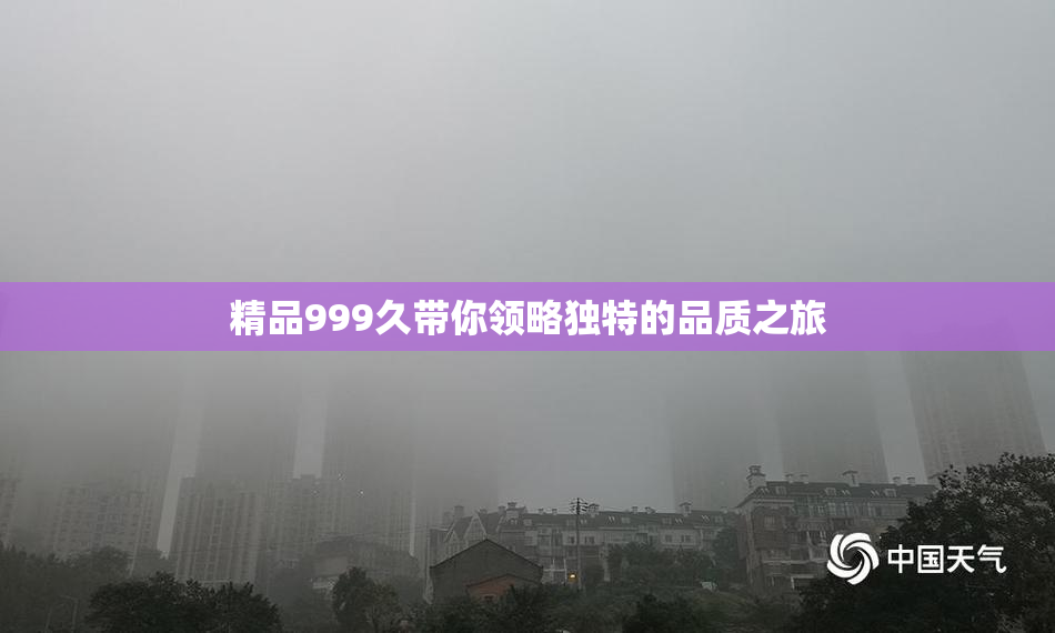 精品999久带你领略独特的品质之旅