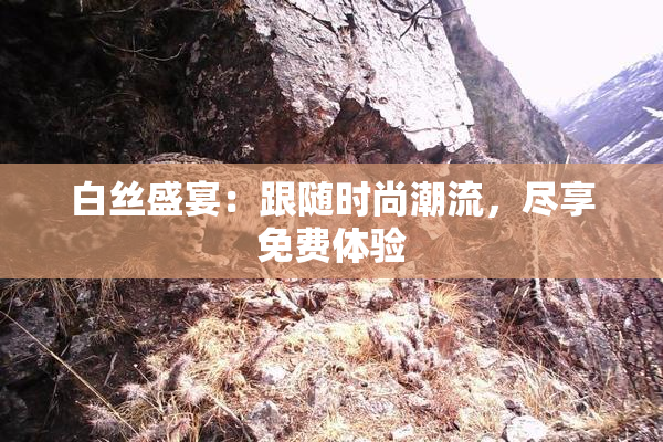 白丝盛宴：跟随时尚潮流，尽享免费体验