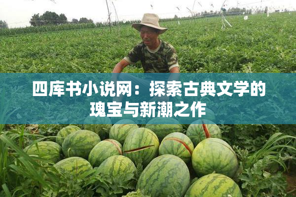 四库书小说网：探索古典文学的瑰宝与新潮之作
