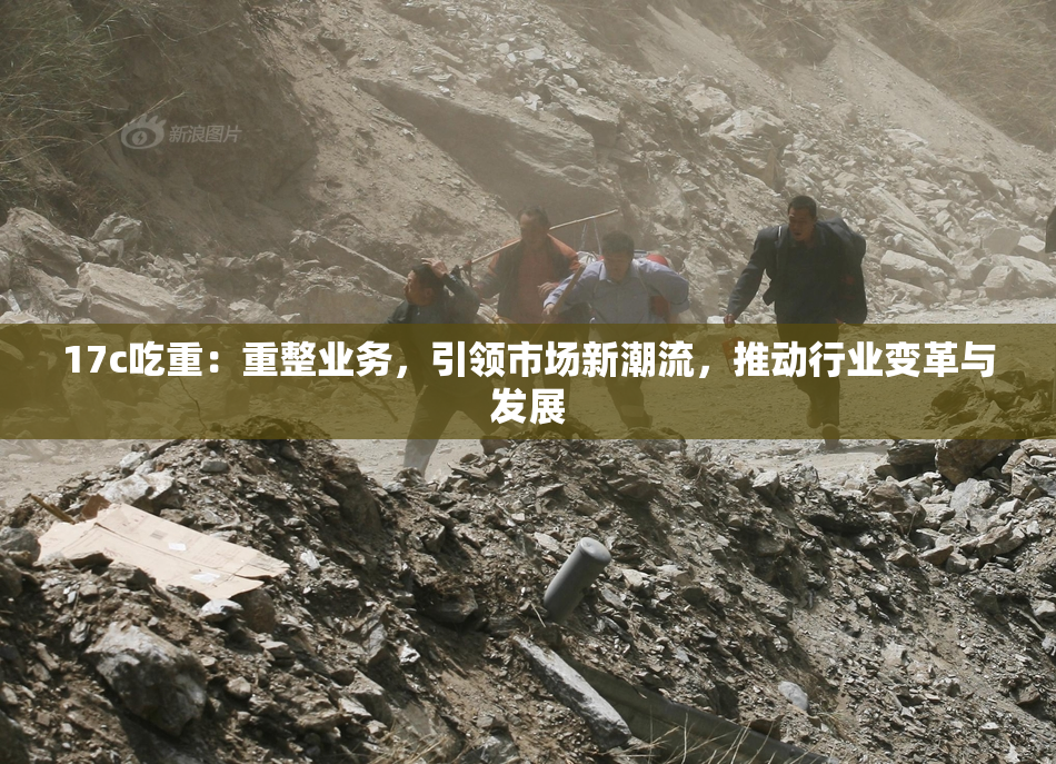 17c吃重：重整业务，引领市场新潮流，推动行业变革与发展