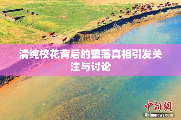 清纯校花背后的堕落真相引发关注与讨论