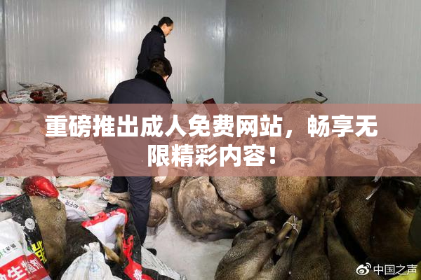 重磅推出成人免费网站，畅享无限精彩内容！